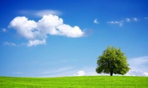 Green environment – eco friendly